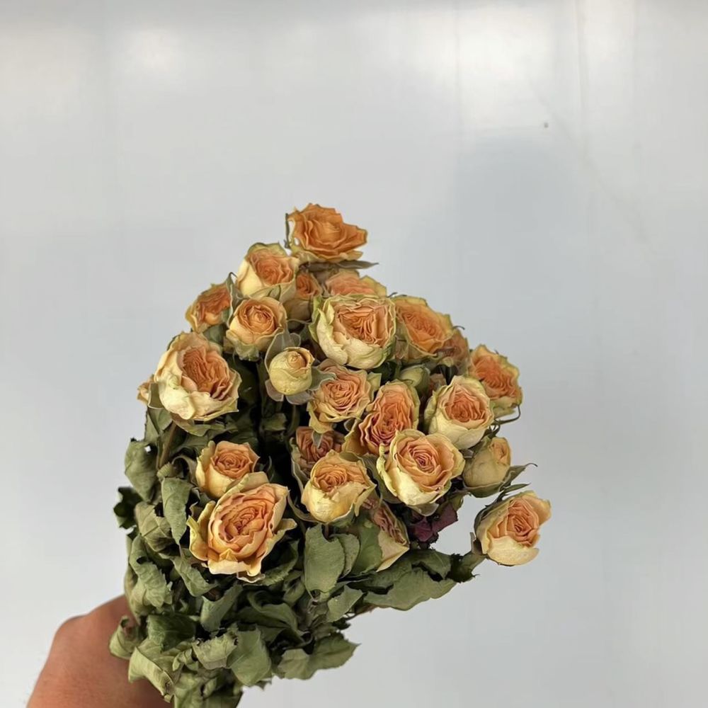 Real Preserved Roses Dried Flo - Resin Art Rose recension och pris