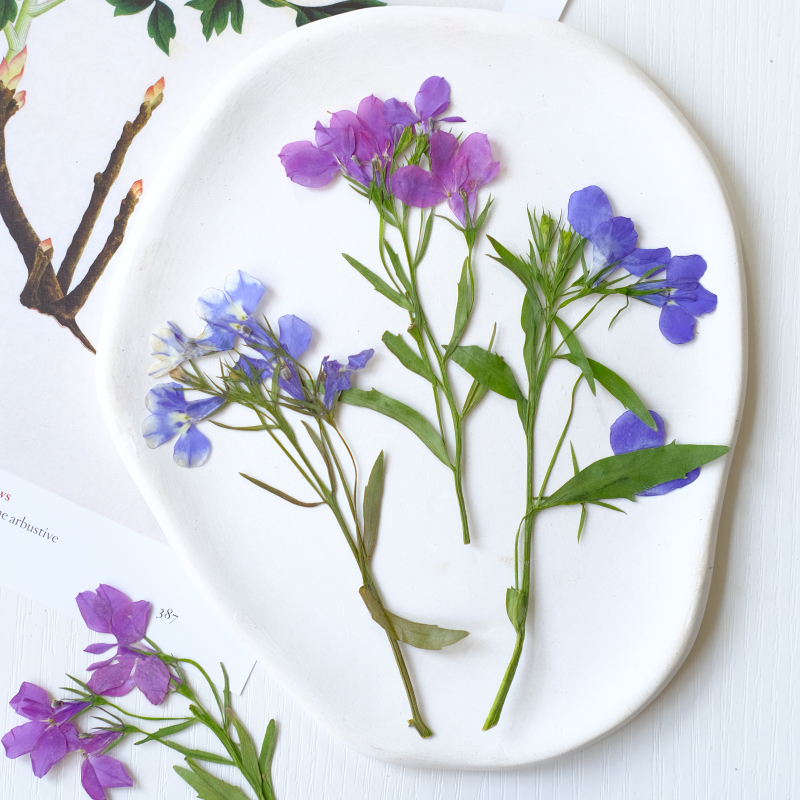 6pcs/8-13cm,nature Lobelia Eri - Resin Art Baby recension och pris