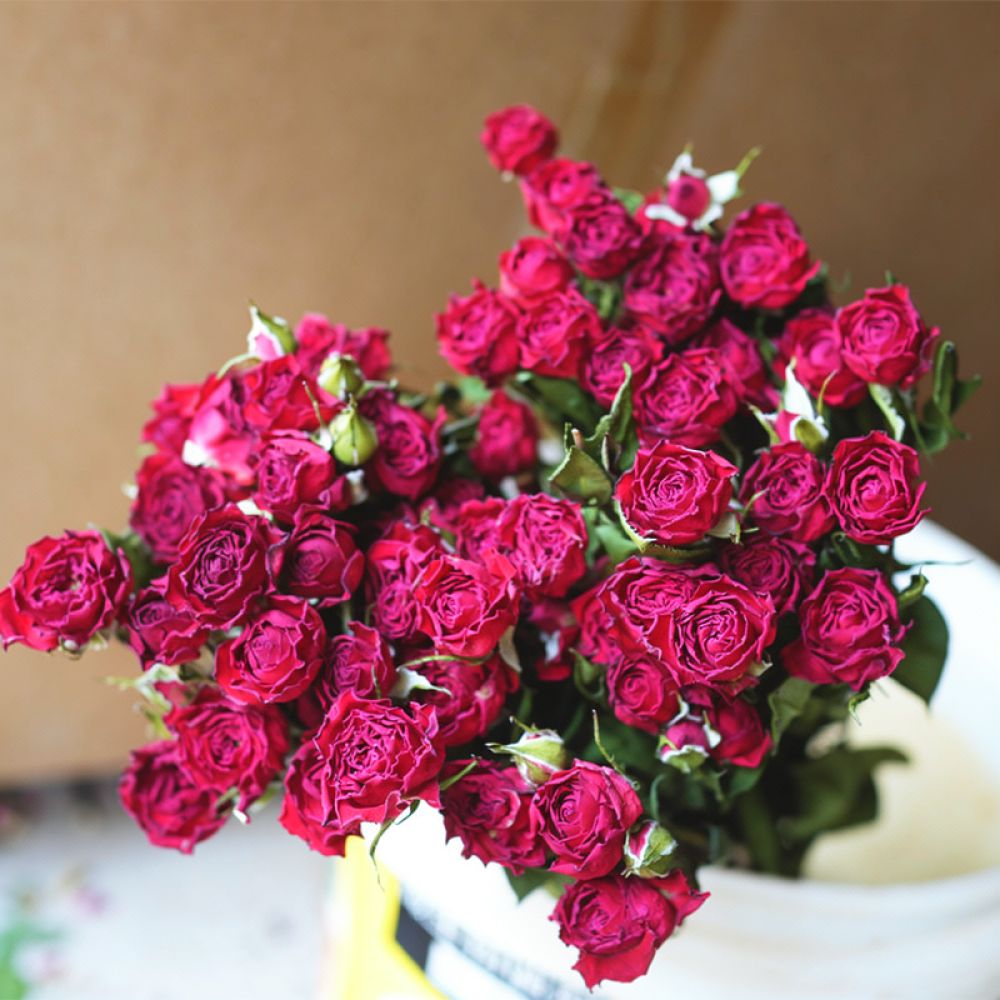 Natural Preserved Dried Rose F - Resin Art Rose recension och pris